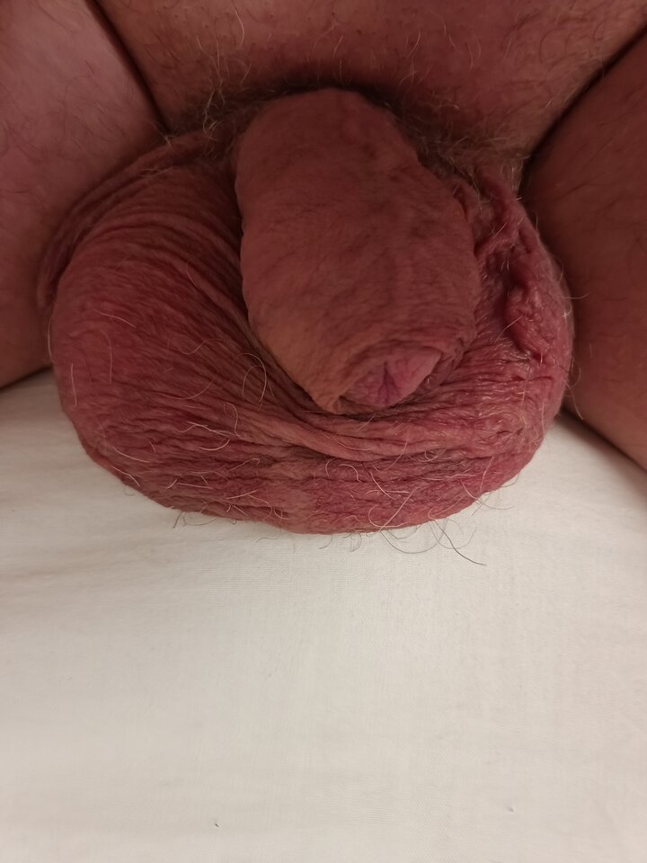 IMG_20241022_162007_977.jpg - robekBi