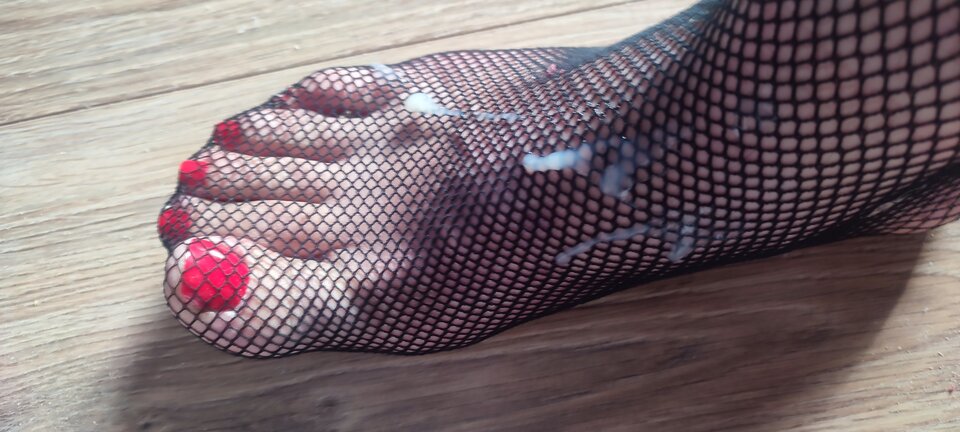 IMG_20241023_130346.jpg - maciek240maciek