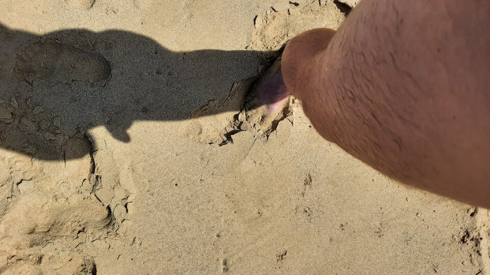 20241023_133503.jpg - kristov