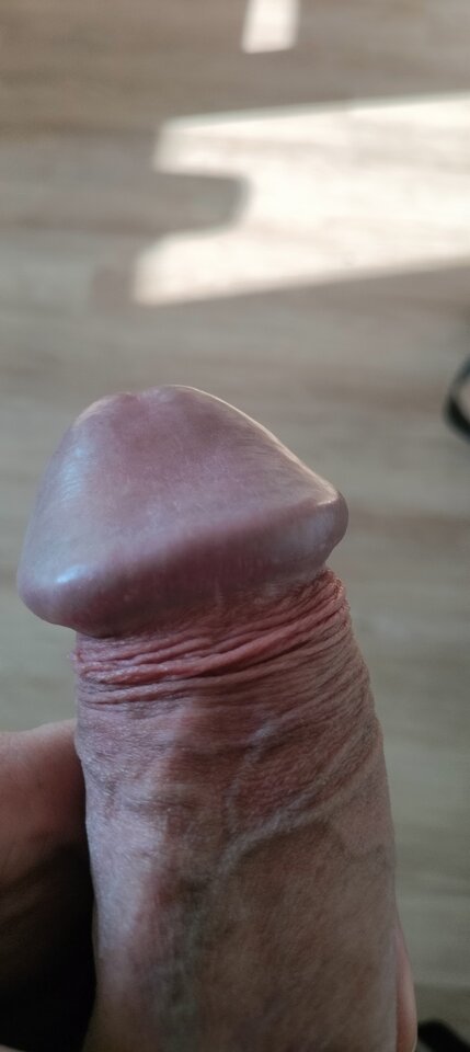 1000024099.jpg - szatan24