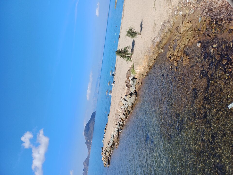 1000022397.jpg - Ciekawi7069