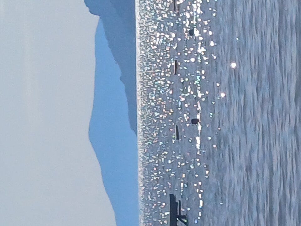 1000022346.jpg - Ciekawi7069