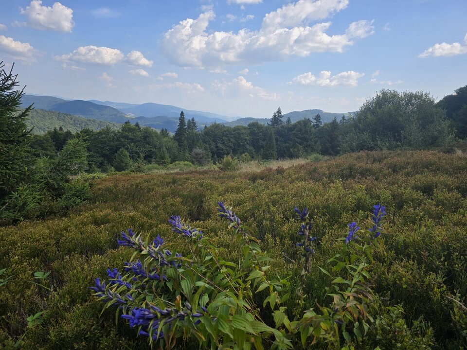 1000004493.jpg - Peter_44