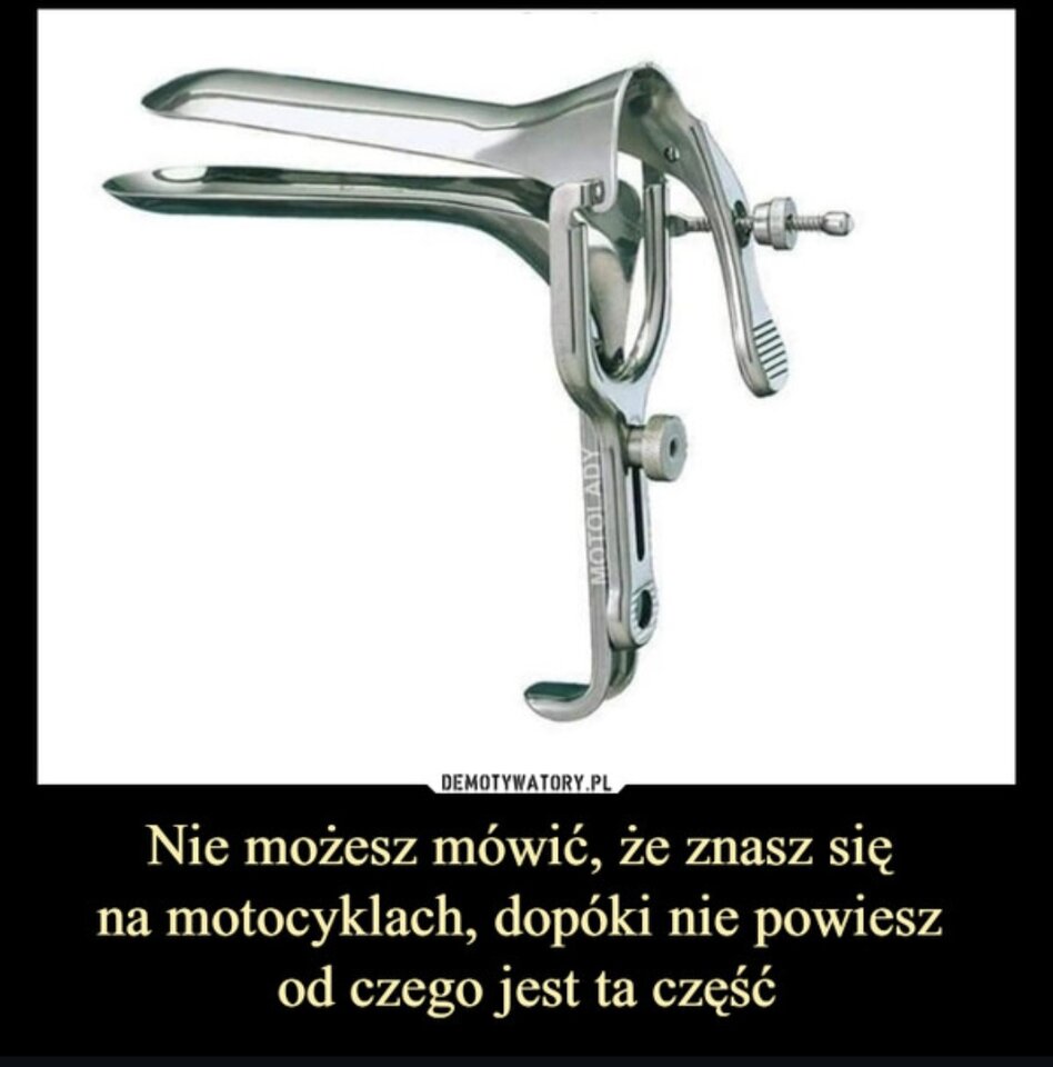 1000013663.jpg - Ann_holy