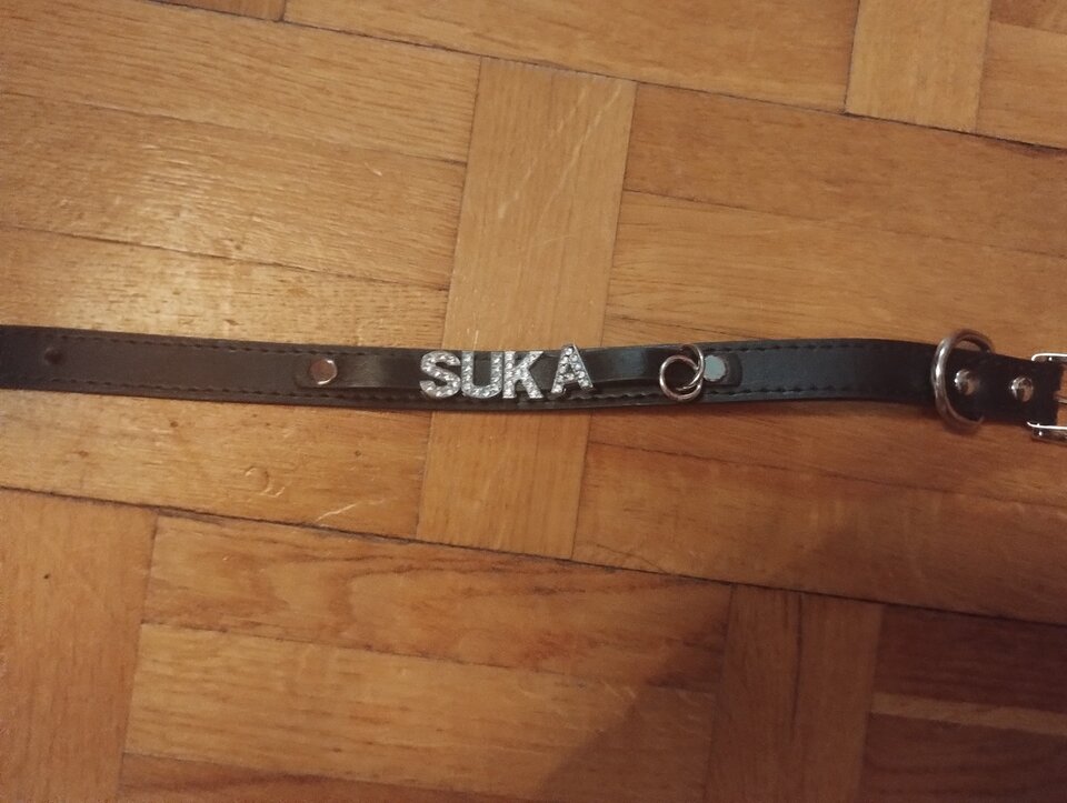 IMG_20241024_185429469.jpg - Roma1616