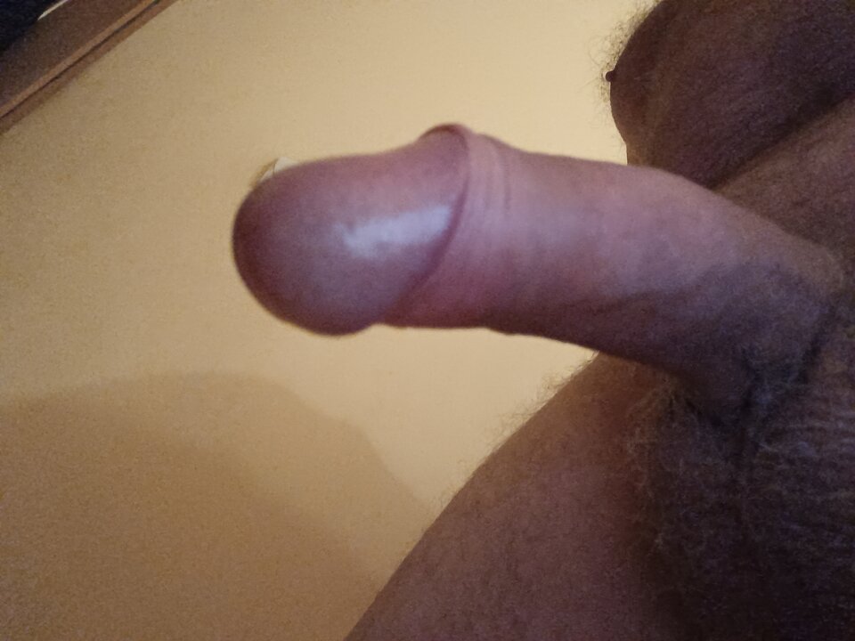 17297950361784422315654024241102.jpg - ardas1