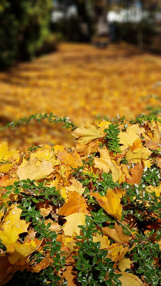 EkstraktPrzyjemnosci