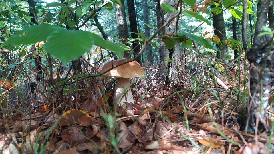 IMG_20241012_114023.jpg - VojtRes