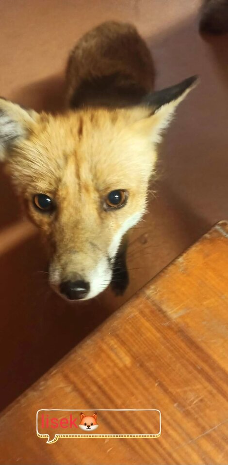 1000015886.jpg - Kalburator