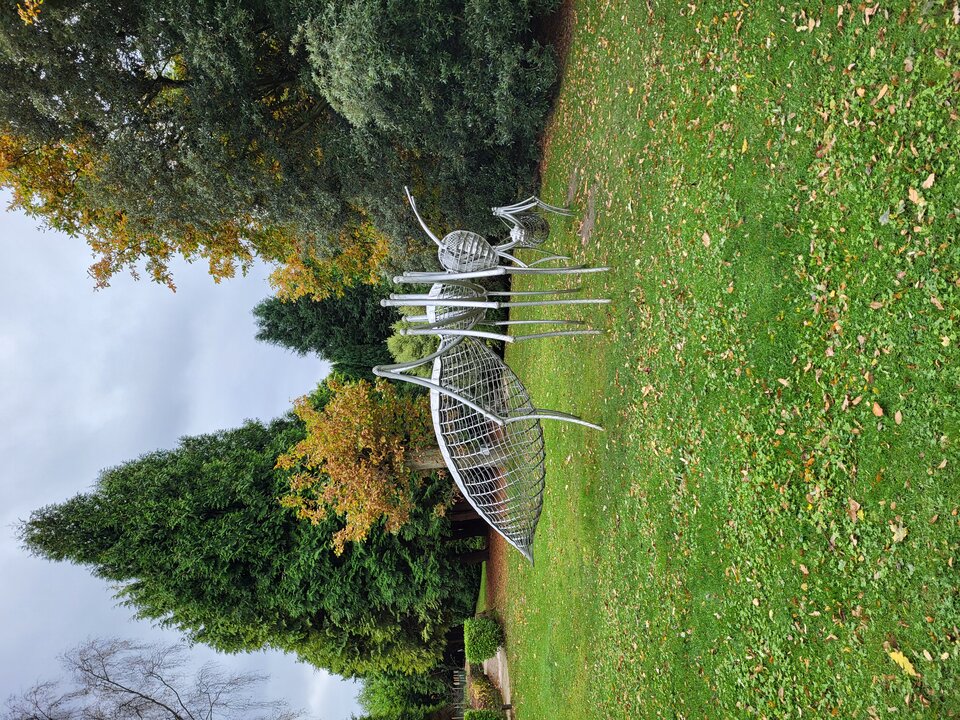 20241023_142921.jpg - Janjakis