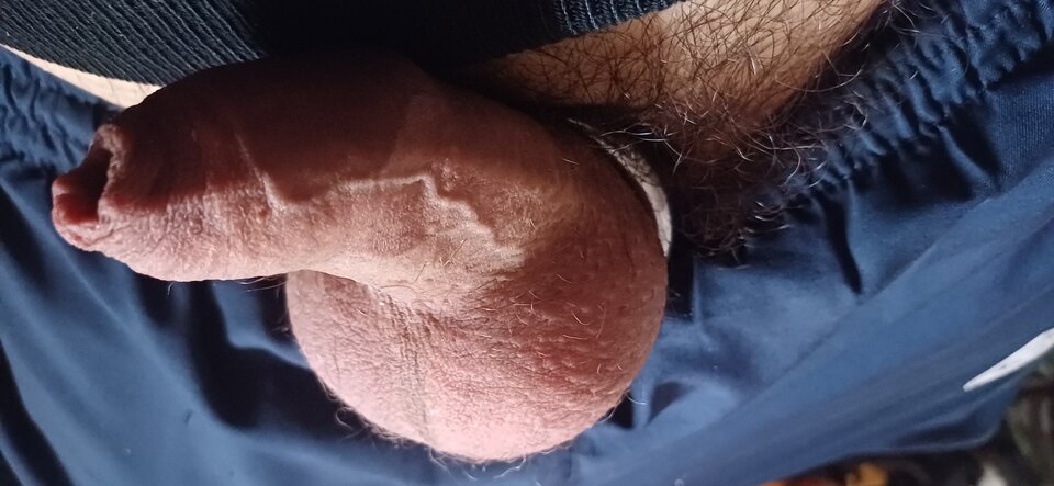 1000006511.jpg - Fiutkutaschujjaja