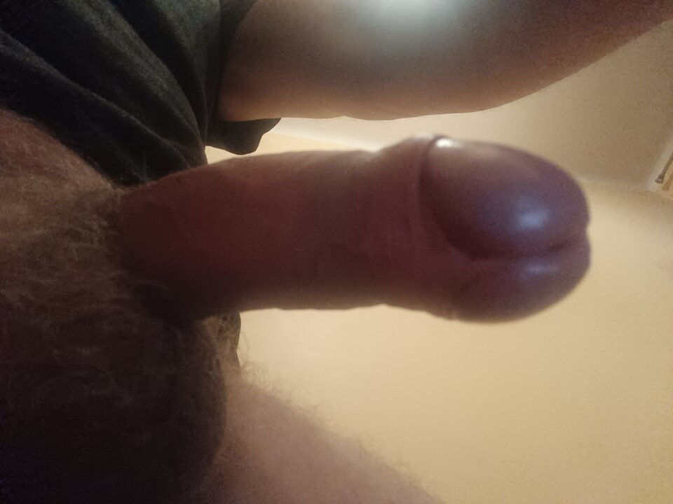 17299159681285594913791860493663.jpg - ardas1