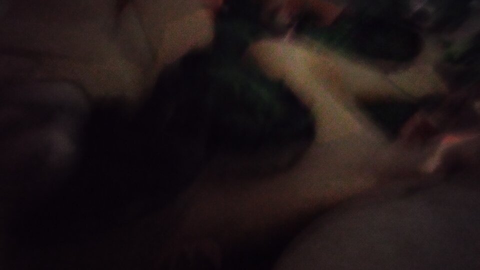 IMG_20241025_224107.jpg - Szkp1973