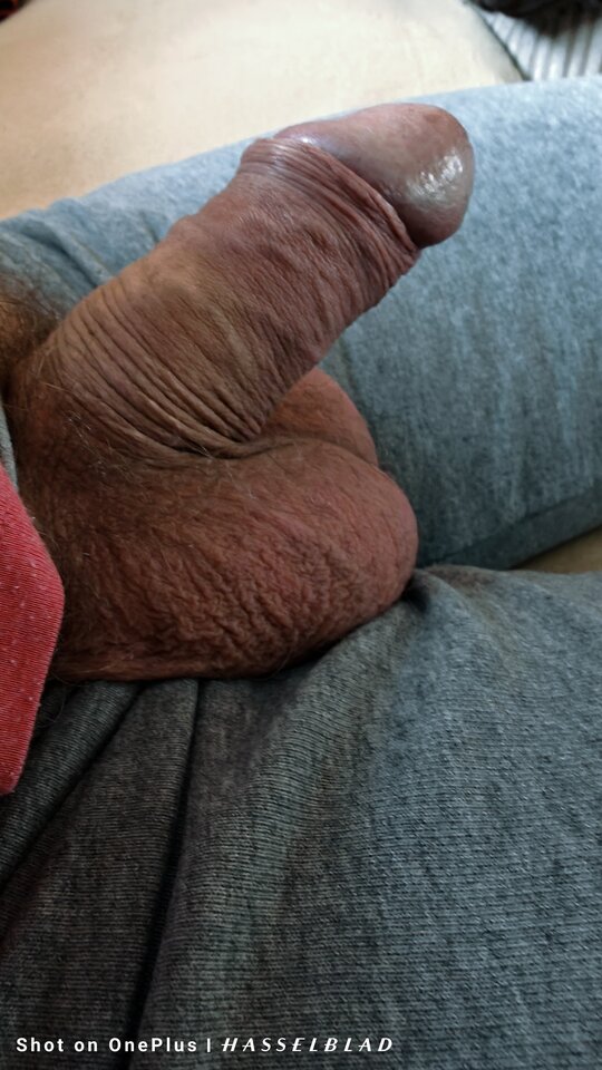 1000009714.jpg - jogan