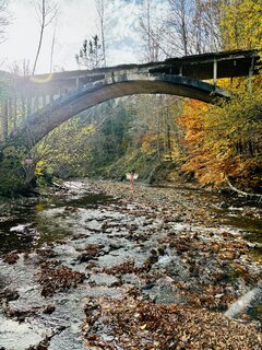 IMG_0845.jpeg