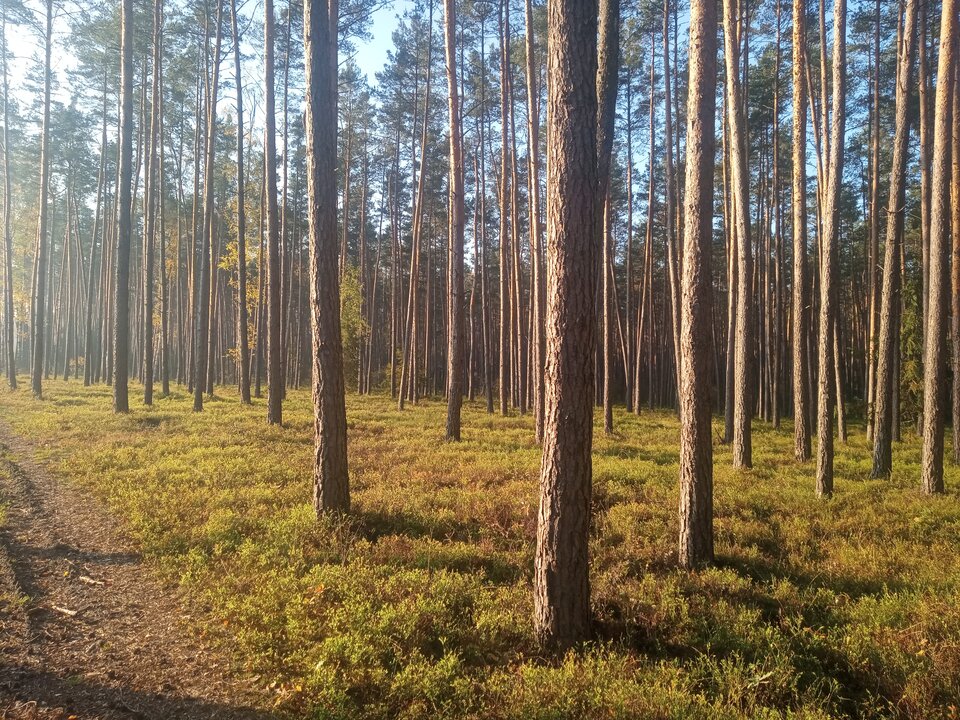 1000002323.jpg - para_79_79