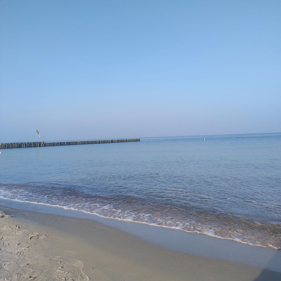 1000012583.jpg - Meskipowiewlata