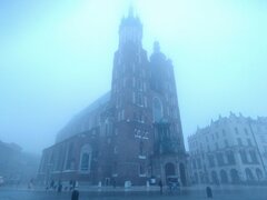 IMG_20241025_182859.jpg