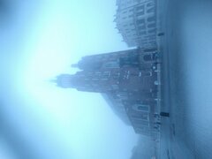 IMG_20241025_075254.jpg