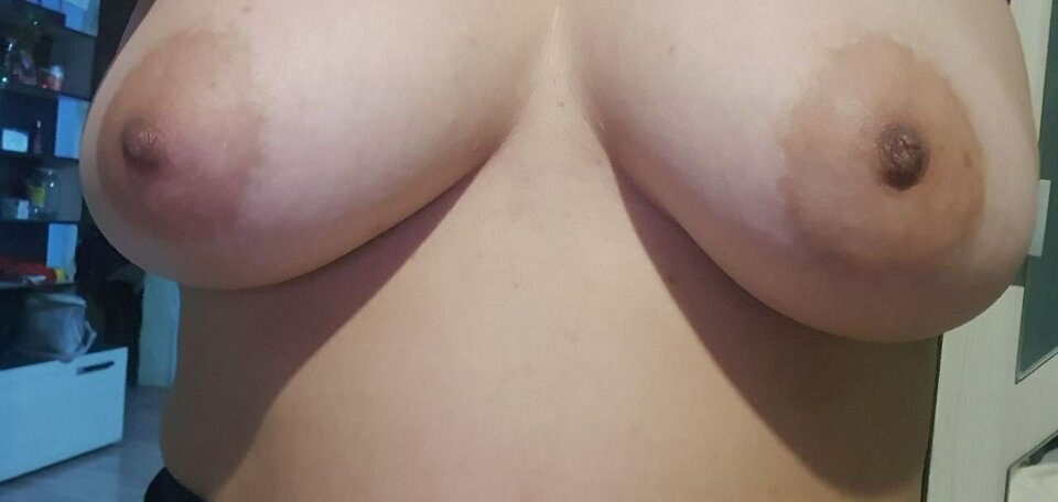 IMG_20240827_064251_616.jpg - Przyjmujacy