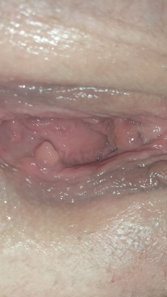 IMG_20240905_095649_039.jpg - Przyjmujacy