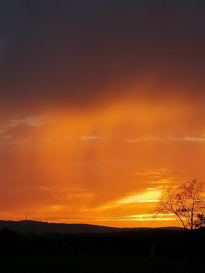 IMG_20241018_182332.jpg - wswoimczasie