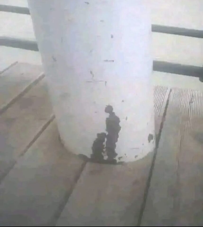 19C2F94D-DFB6-4C23-84EF-E9BF290587AC.jpeg - smart_dream