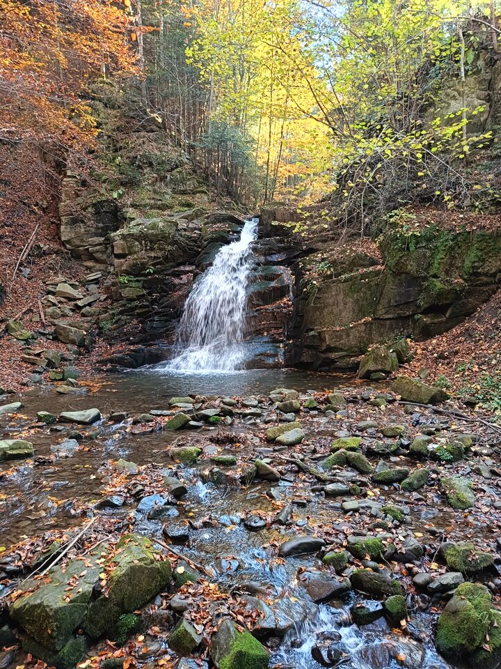 1000004422.jpg - 30894824