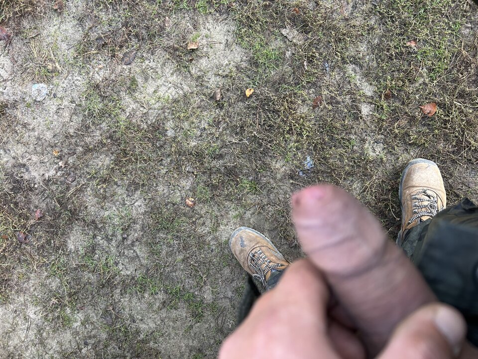 IMG_6419.jpeg - Trawniczek1976