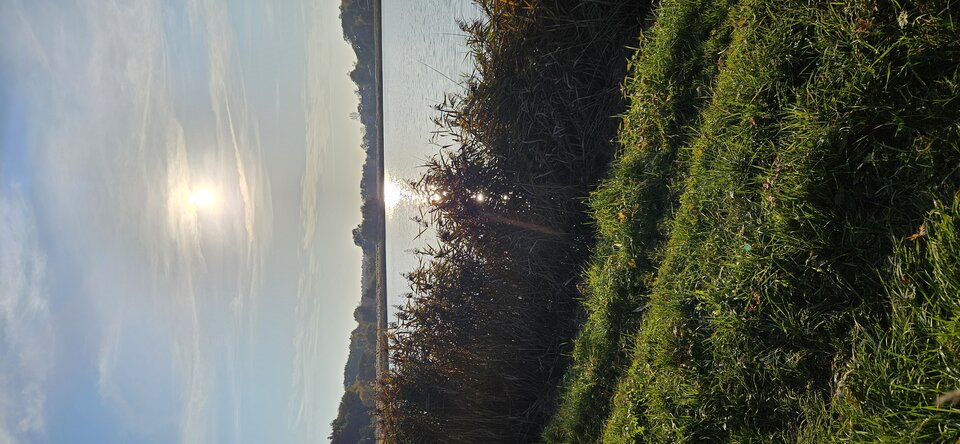 1000054512.jpg - OnTaki82