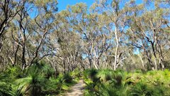 IMG-20241028-WA0004.jpg
