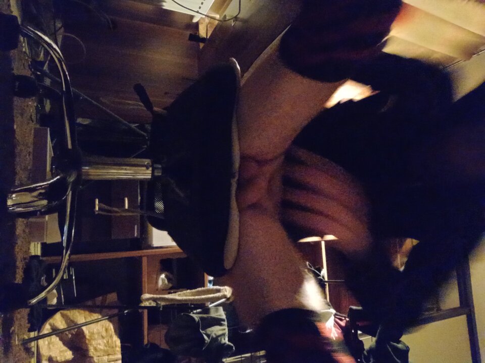 IMG_20241028_005611545_HDR.jpg - sisqoo