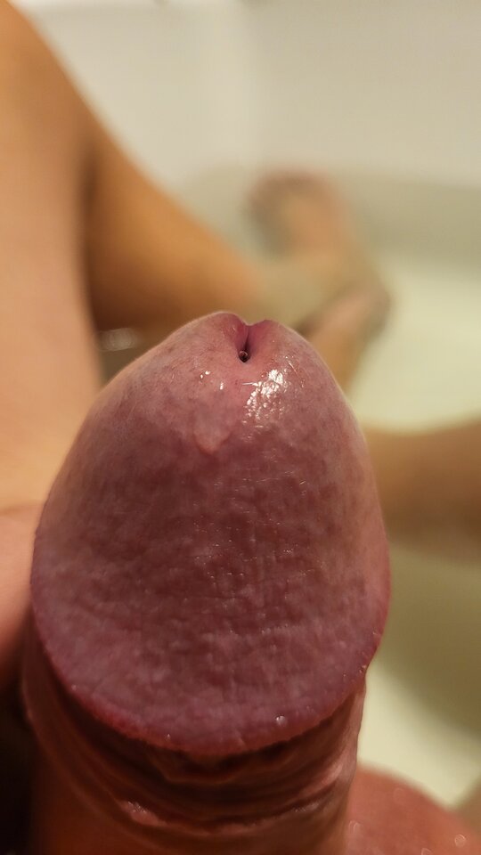 1000003486.jpg - malz_50