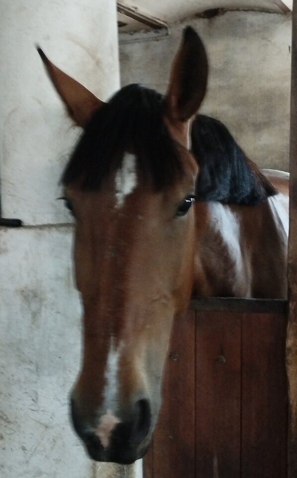 fb9caabe-1e3b-4476-870b-fbf0d3deb261-1_all_2636.jpg - Grzech820