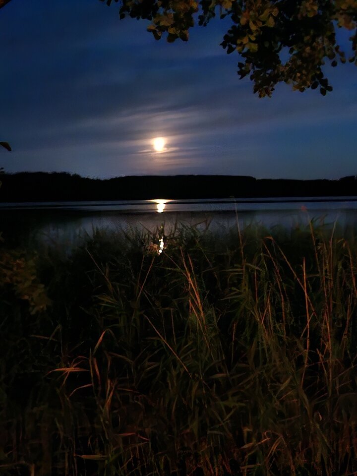 1000014204.jpg - themoonok