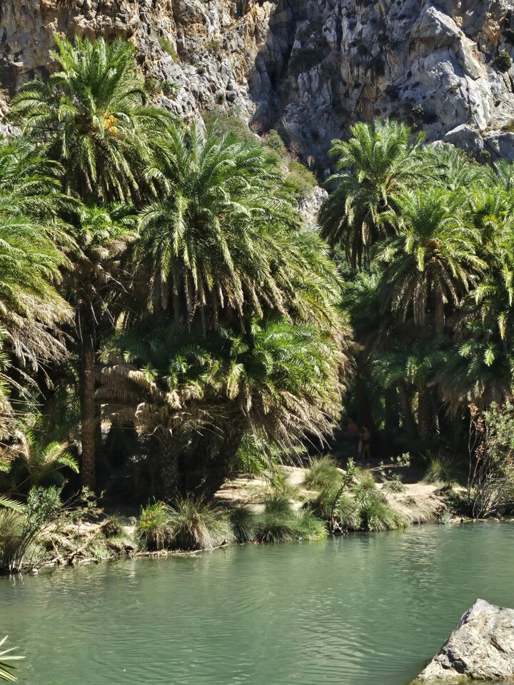 1000016395.jpg - kufala2