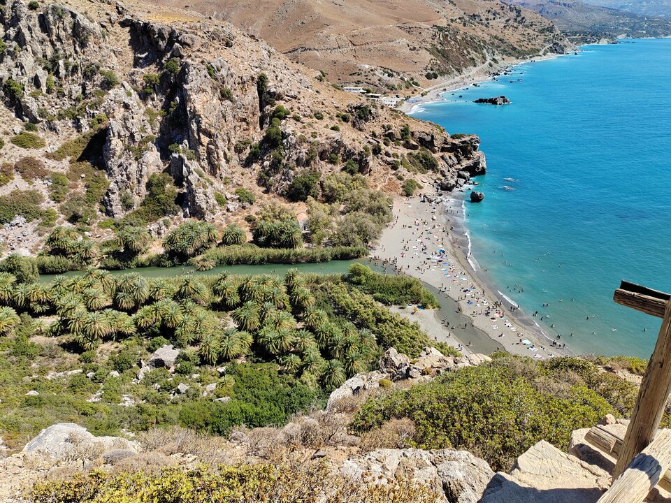 1000016334.jpg - kufala2