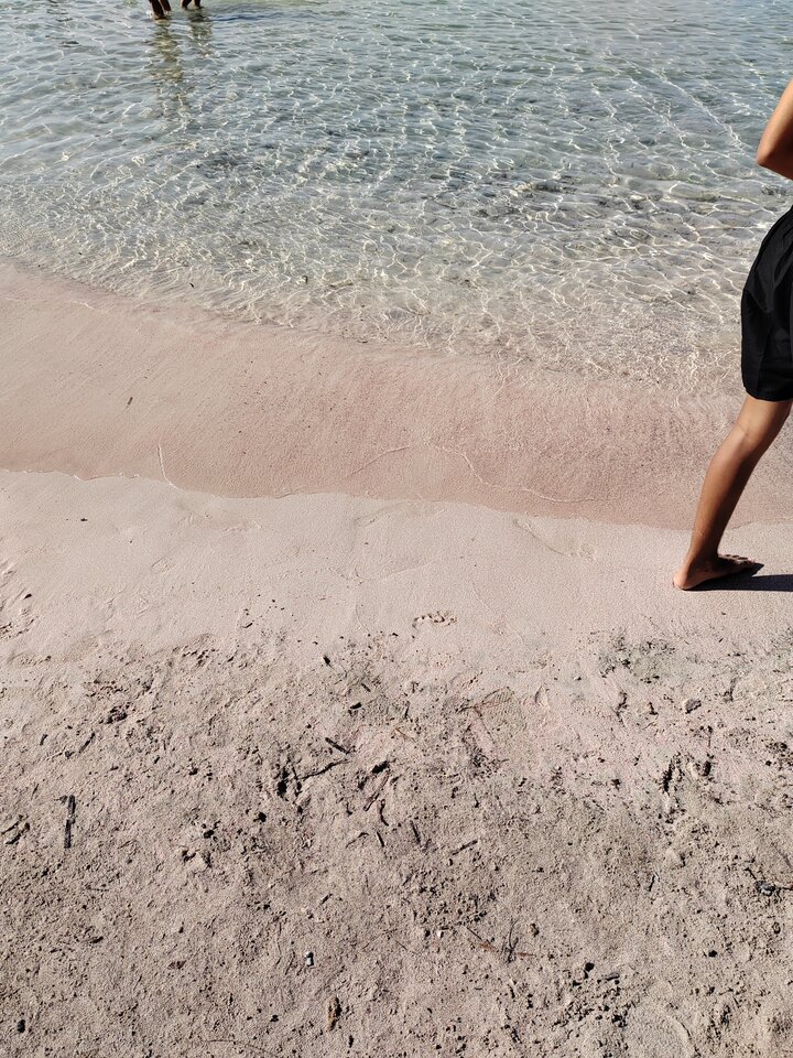 1000016506.jpg - kufala2