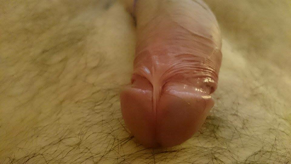 12650759_909498549166014_539660025_n.jpg - Acotam78