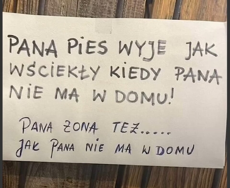 IMG_20240920_131301.jpg - Elliza