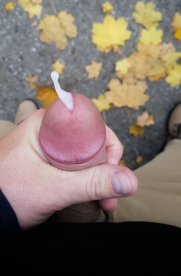 VideoCapture_20241029-174916-02.jpeg - YourSong