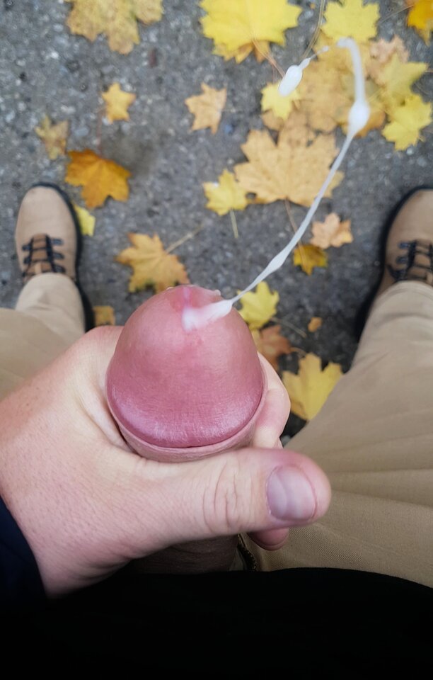 VideoCapture_20241029-174855-01.jpeg - YourSong