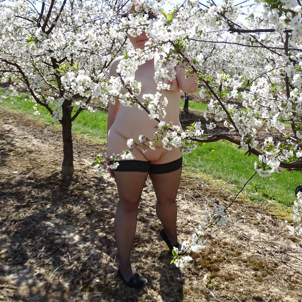 1000013698.jpg - parka_pulawy