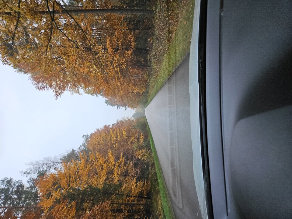 Taka ci historia - an713