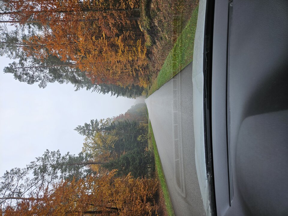 Taka ci historia - an713