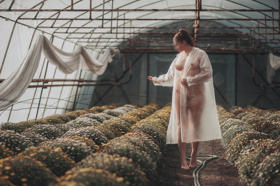 Chrysanthemums queen - sinner_in_me