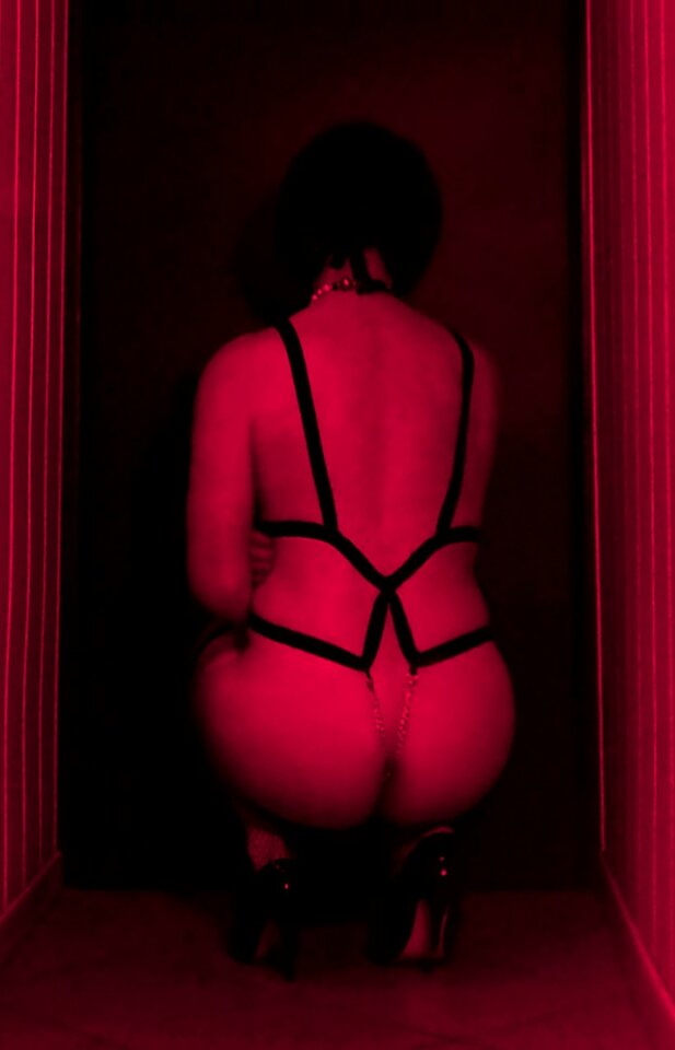 EltsDSCN0352.JPG - ElaElts