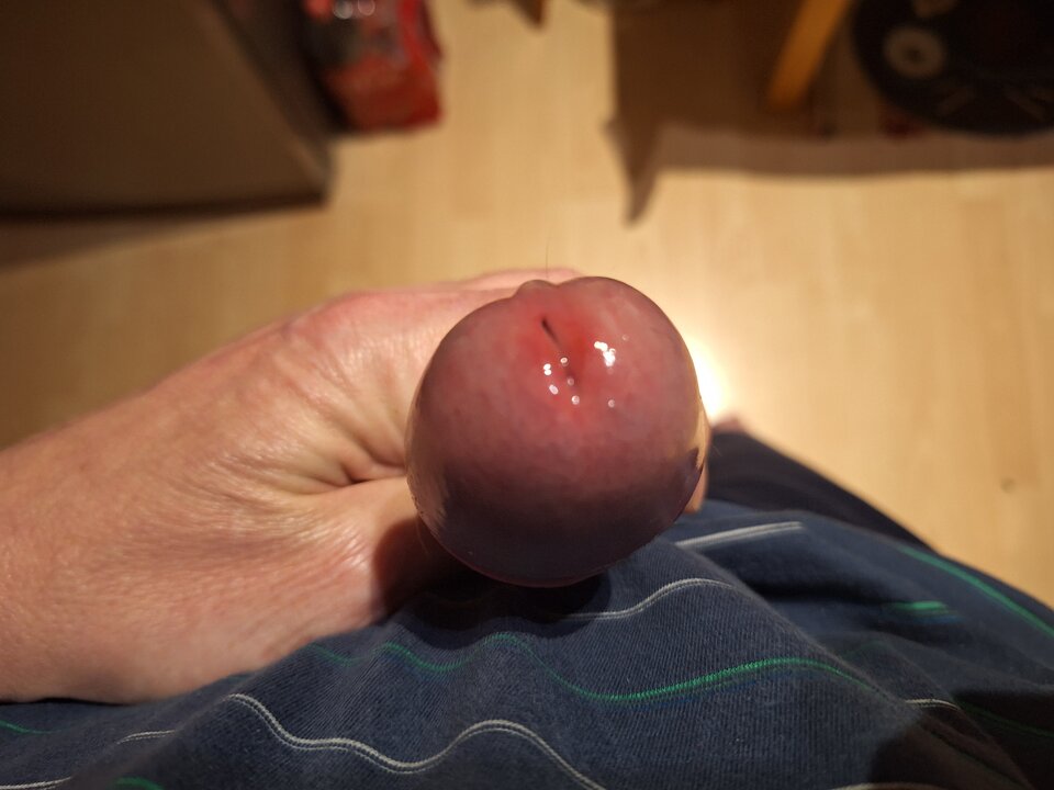 1000018067.jpg - Adamus_1976