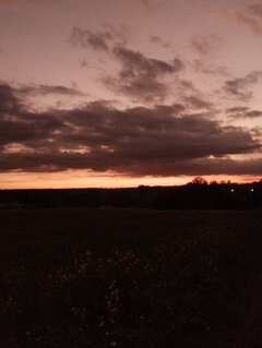 IMG_207165.jpg