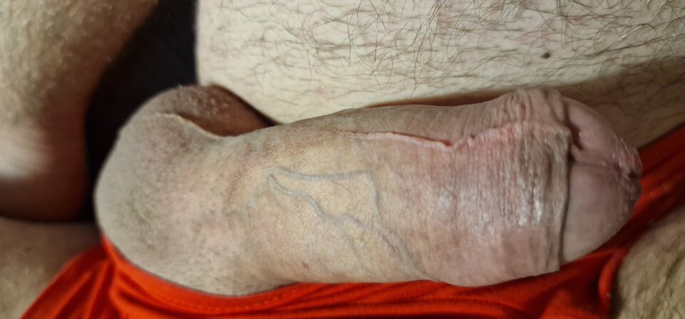 17303476790716607995365509496971.jpg - robin266